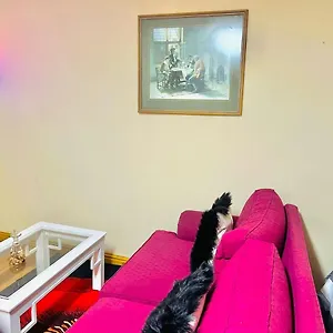 https://affordable-guest-house-at-great-choice-guest-houses.hotels-capetown.com
